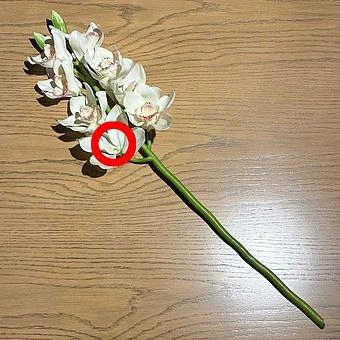 Искусственный цветок Cymbidium Orchid Branch White 67 cm discount - ракурс 2