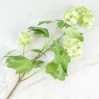 Искусственный цветок Buldonezh Viburnum Light Green 67 cm - ракурс 3