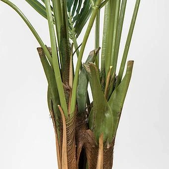 Искусственное дерево De Luxe Kentia Palm 170 cm