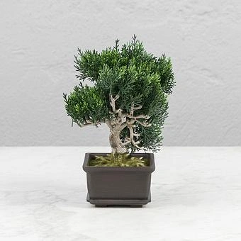 Искусственное растение Pine Mini Bonsai Potted 22 cm