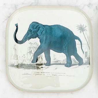 Поднос Safari Elephant Square Tray