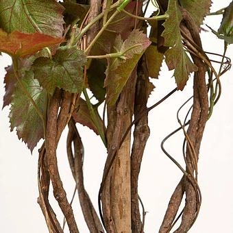 Искусственное растение Vine With Red Grapes 160 cm