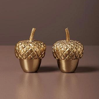 Набор для специй Set Of 2 Salt And Pepper Golden Accorns