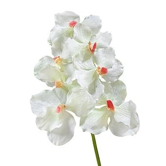 Искусственный цветок Vanda Orchid White With Pink Center 36 cm