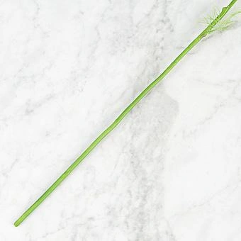  - ракурс 5
