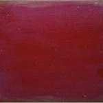 тополь Rouge Banyuls