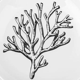 Тарелка Underwater World Deep Plate - ракурс 4