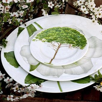 Тарелка Freedom Wood 2 Dessert Plate - ракурс 10